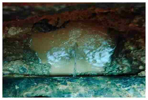 浙江污水處理廠排名第一