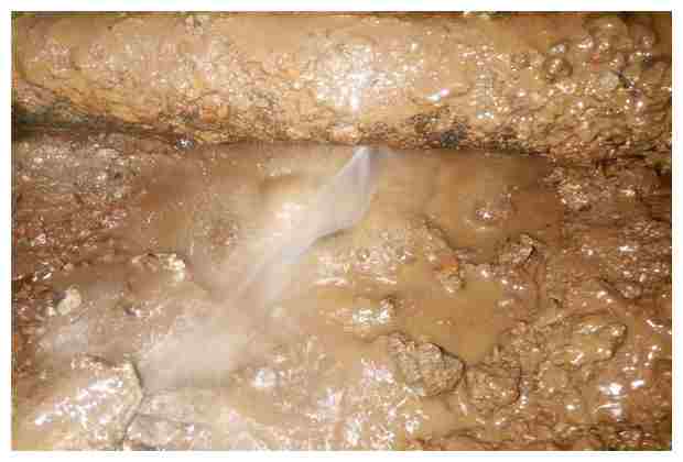 中國工業(yè)清洗協(xié)會會員單位有哪些_中國工業(yè)清洗協(xié)會會員單位有哪些公司