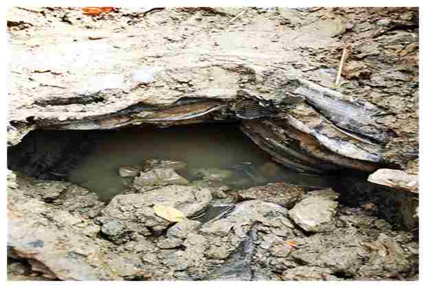 大興區(qū)化糞池清理公司電話