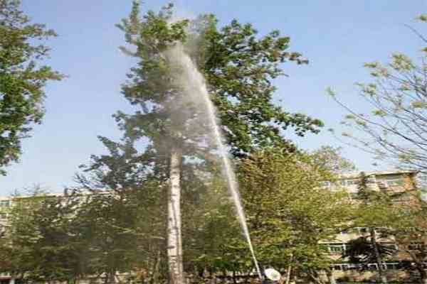 樹木打藥當(dāng)晚下雨，藥效還在嗎？