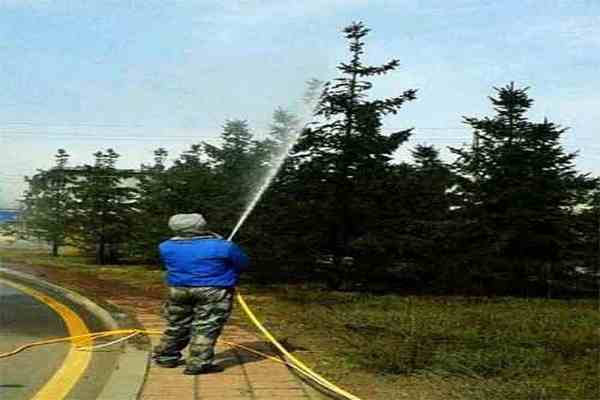 綠化打藥，時機(jī)很重要！