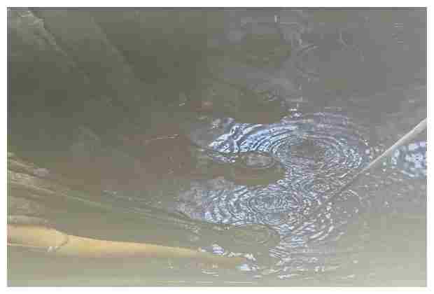 杜莊村清運污水池的步驟和注意事項